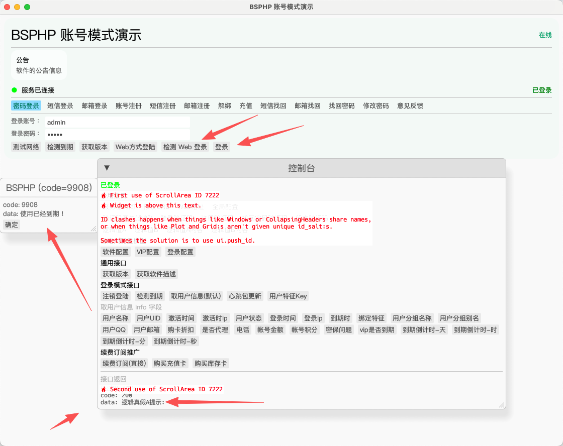 Rust网络验证系统演示 配图